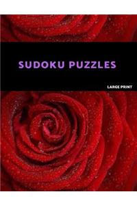Sudoku Puzzles Large Print