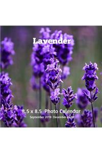 Lavender 8.5 X 8.5 Calendar September 2019 -December 2020