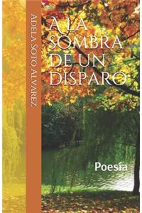 A la sombra de un disparo