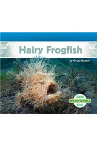 Hairy Frogfish