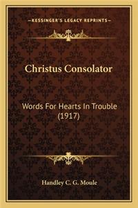 Christus Consolator