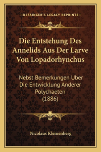 Entstehung Des Annelids Aus Der Larve Von Lopadorhynchus