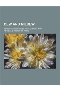 Dew and Mildew; Semi-Detached Stories from Karabad, India