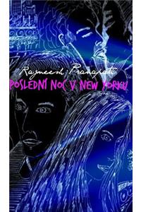 Poslední noc v New Yorku