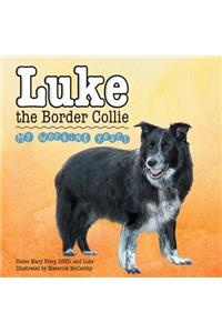 Luke the Border Collie
