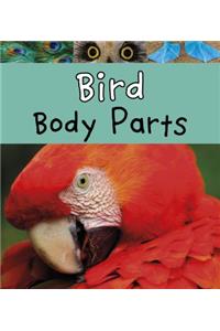 Bird Body Parts