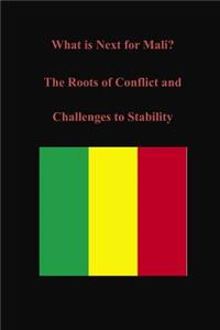 What is Next for Mali? The Roots of Conflict and Challenges to Stability