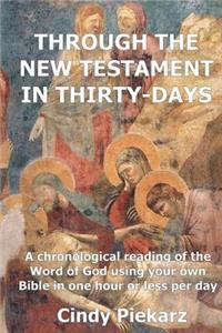 Through The New Testament In Thirty Days