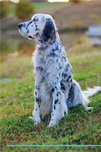 English Setter Affirmations Workbook English Setter Presents