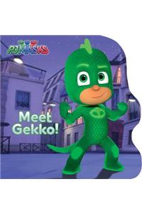 Meet Gekko!
