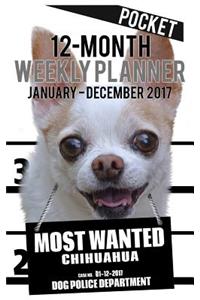 2017 Pocket Weekly Planner - Most Wanted Chihuahua