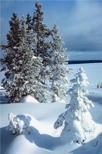 Journal Beautiful Winter Scene