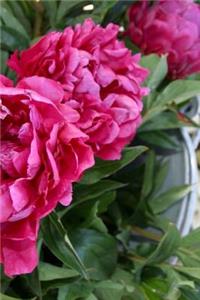 Journal Flowers Pretty Red Peonies