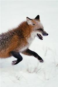Red Fox Run Any Day Planner Notebook