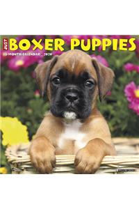 Just Boxer Puppies 2020 Wall Calendar (Dog Breed Calendar)