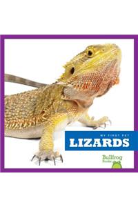 Lizards