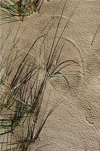 2020 Daily Planner Sandy Beach 388 Pages