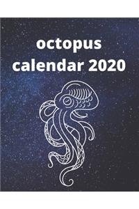 octopus Calendar 2020