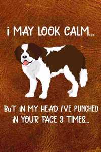 I May Look Calm But In My Head I've Punched In Your Face 3 Times