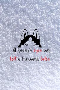 A Husky's Eyes Can Tell A Thousand Tales