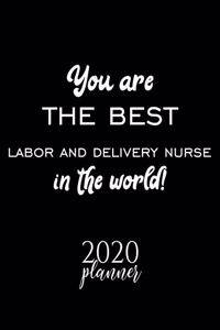 You Are The Best Labor And Delivery Nurse In The World! 2020 Planner