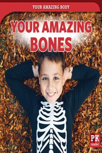 Your Amazing Bones