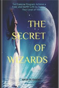 The Secret of Wizards