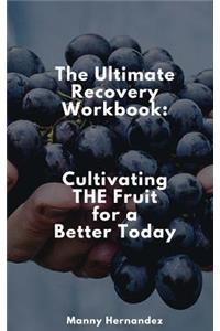 The Ultimate Recovery Workbook