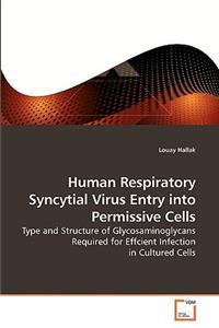 Human Respiratory Syncytial Virus Entry into Permissive Cells