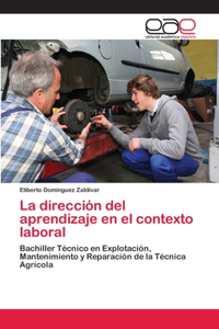 dirección del aprendizaje en el contexto laboral