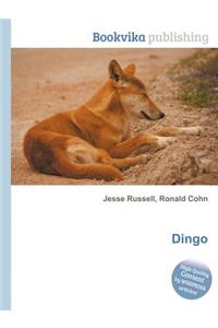 Dingo