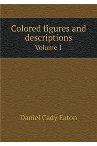 Colored figures and descriptions Volume 1