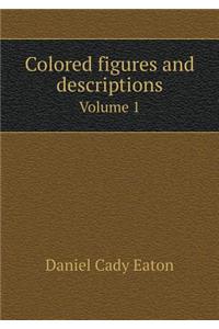 Colored Figures and Descriptions Volume 1