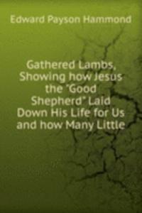 Gathered Lambs, Showing how Jesus the 