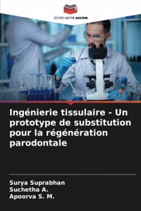 Ingénierie tissulaire - Un prototype de substitution pour la régénération parodontale