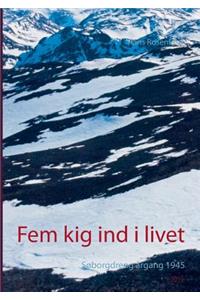 Fem kig ind i livet