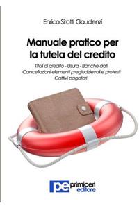 Manuale pratico per la tutela del credito