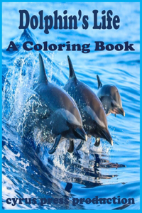 Dolphin's Life