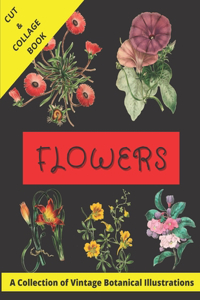 Flowers - A Collection of Vintage Botanical Illustrations