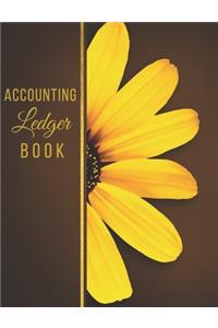 Accounting Ledger Book