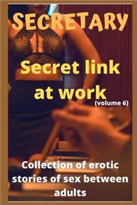 SECRETARY Secret link at work (volume 6)