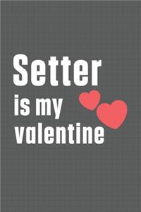 Setter is my valentine
