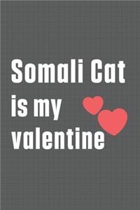 Somali Cat is my valentine