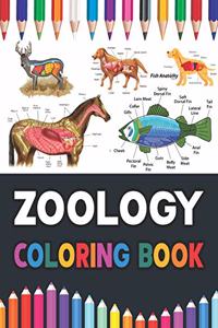 Zoology Coloring Book