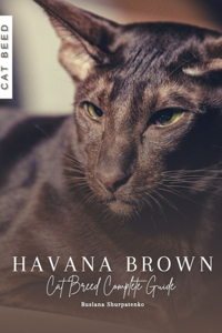 Havana Brown