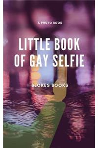 Little book of Gay Selfie