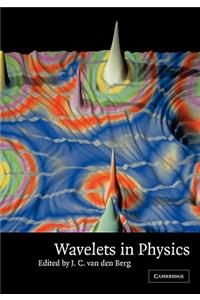 Wavelets in Physics