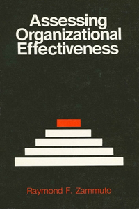 Assessing Organizational Effectiveness