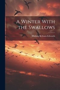 Winter With the Swallows