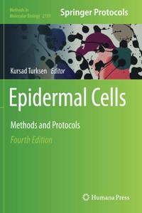 Epidermal Cells